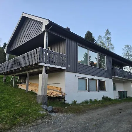 Brendefur Panorama Hornindal